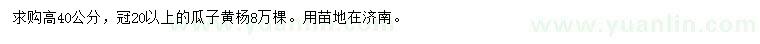 求购高40公分瓜子黄杨