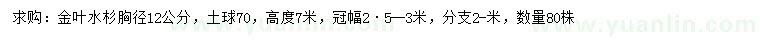 求购胸径12公分金叶水杉