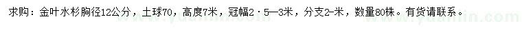 求购胸径12公分金叶水杉