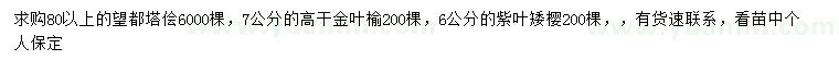 求购望都塔侩、高杆金叶榆、紫叶矮樱