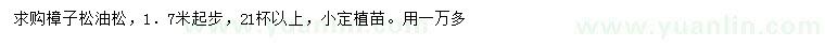 求购1.7米起步樟子松、油松