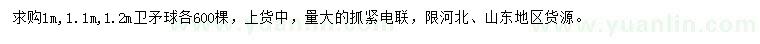 求购1、1.1、1.2米卫矛球