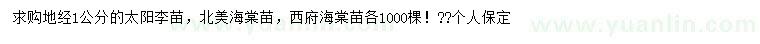 求购太阳李苗、北美海棠苗、西府海棠苗
