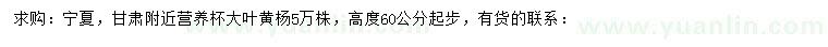 求购高60公分起步大叶黄杨