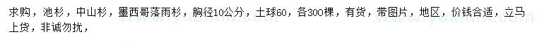 求购池杉、中山杉、墨西哥落羽杉