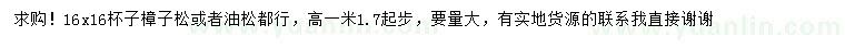 求购高1.7米樟子松、油松