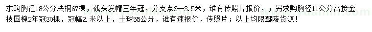 求购胸径18公分法桐、11公分高接金枝国槐