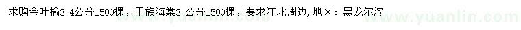 求购3-4公分金叶榆、3公分王族海棠