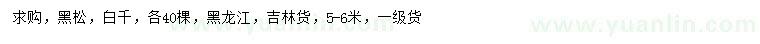 求购5-6米黑松、白扦云杉