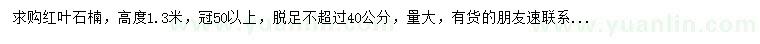 求购高1.3米红叶石楠