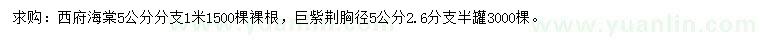 求购5公分西府海棠、胸径5公分巨紫荆