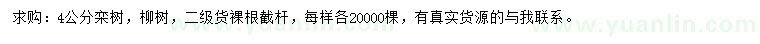 求购4公分栾树、柳树