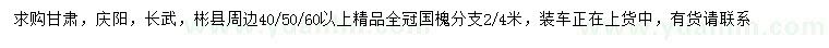 求购40、50、60公分以上国槐