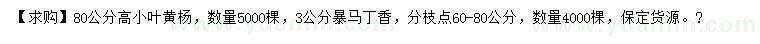 求购高80公分小叶黄杨、3公分暴马丁香