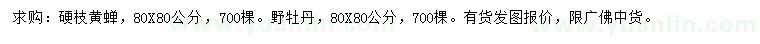 求购80公分硬枝黄蝉、野牡丹