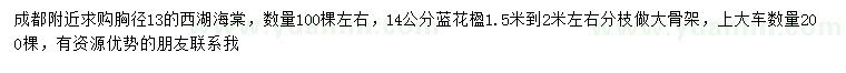 求购胸径13公分西府海棠、14公分蓝花楹