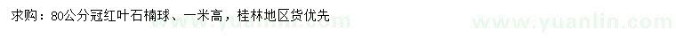 求购冠80公分红叶石楠球