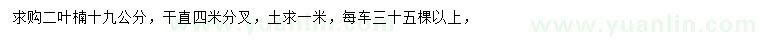 求购19公分二叶楠