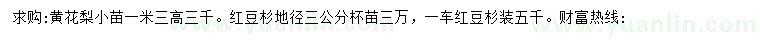 求购高1.3米黄花梨、地径3公分红豆杉