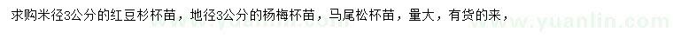 求购米径3公分红豆杉、地径3公分杨梅