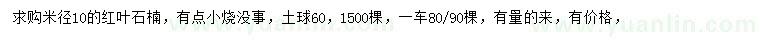 求购米径10公分红叶石楠