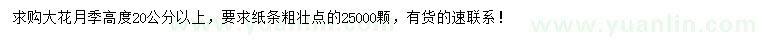 求购高20公分以上大花月季