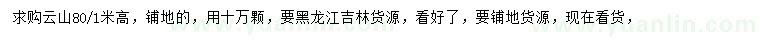 求购高80公分、1米云杉