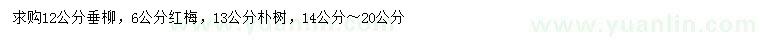 求购垂柳、红梅、朴树