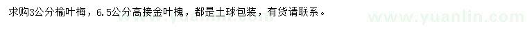 求购3公分榆叶梅、6.5公分金叶槐