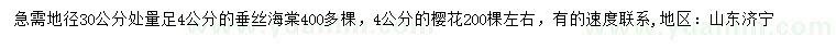 求购地径30公分处量4公分垂丝海棠、樱花