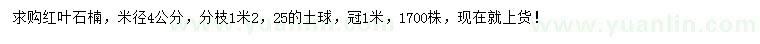 求购米径4公分红叶石楠