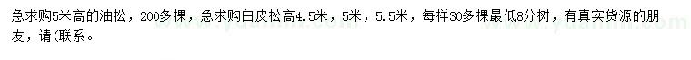 求购高5米油松、高4.5/5/5.5米白皮松