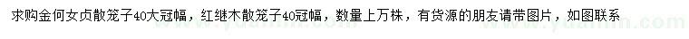 求购冠幅40公分金禾女贞、红继木