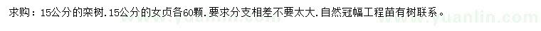 求购15公分栾树、女贞