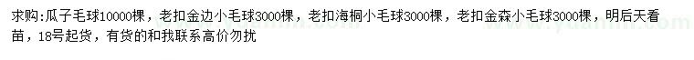 求购瓜子毛球、金边小毛球、海桐小毛球等