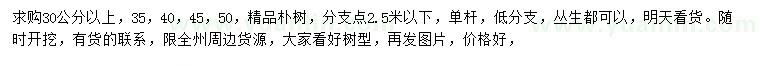 求购35、40、45、50公分朴树