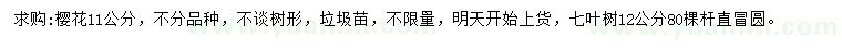 求购11公分樱花、12公分七叶树