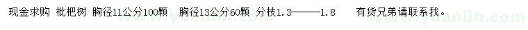 求购胸径11、13公分枇杷树