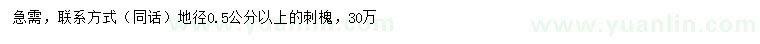 求购地径0.5公分以上刺槐