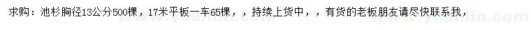 求购胸径13公分池杉