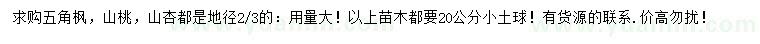 求购五角枫、山桃、山杏