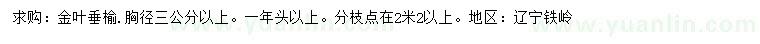 求购胸径3公分以上金叶垂榆