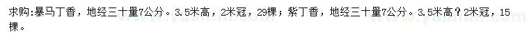 求购地经30量7公分暴马丁香、紫丁香