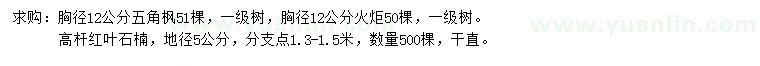 求购胸径12公分五角枫、地径5公分高杆红叶石楠