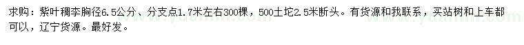 求购胸径6.5公分紫叶稠李