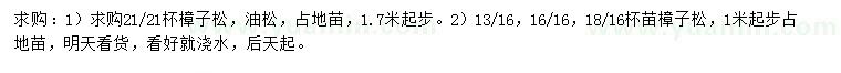 求购1.7米起步樟子松、油松