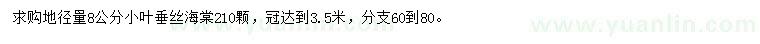 求购地径8公分小叶垂丝海棠