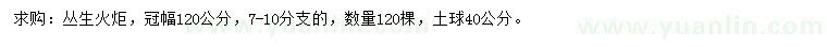 求购冠幅120公分丛生火炬