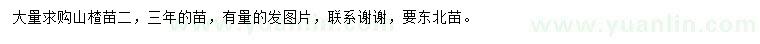 求购2、3年生山楂苗