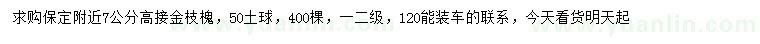 求购7公分高接金枝槐